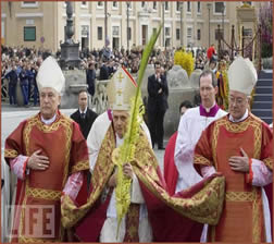 H.H. Benedict XVI, Palm Sunday 2011