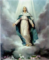 Immaculate Conception