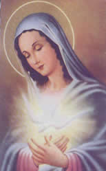 Spouse of the Holy Spirit